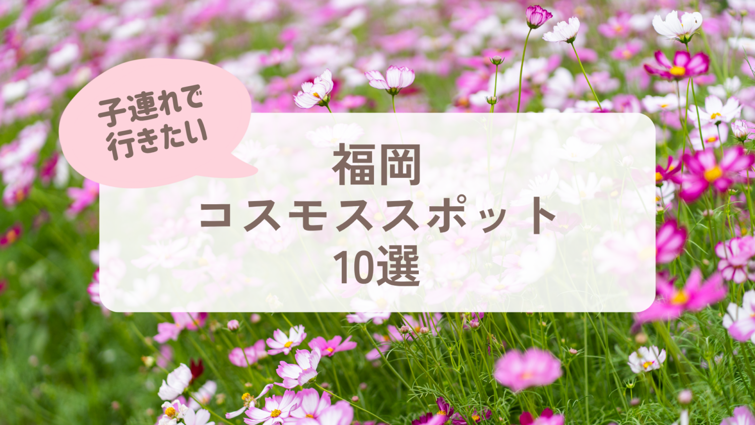 記事タイトル②