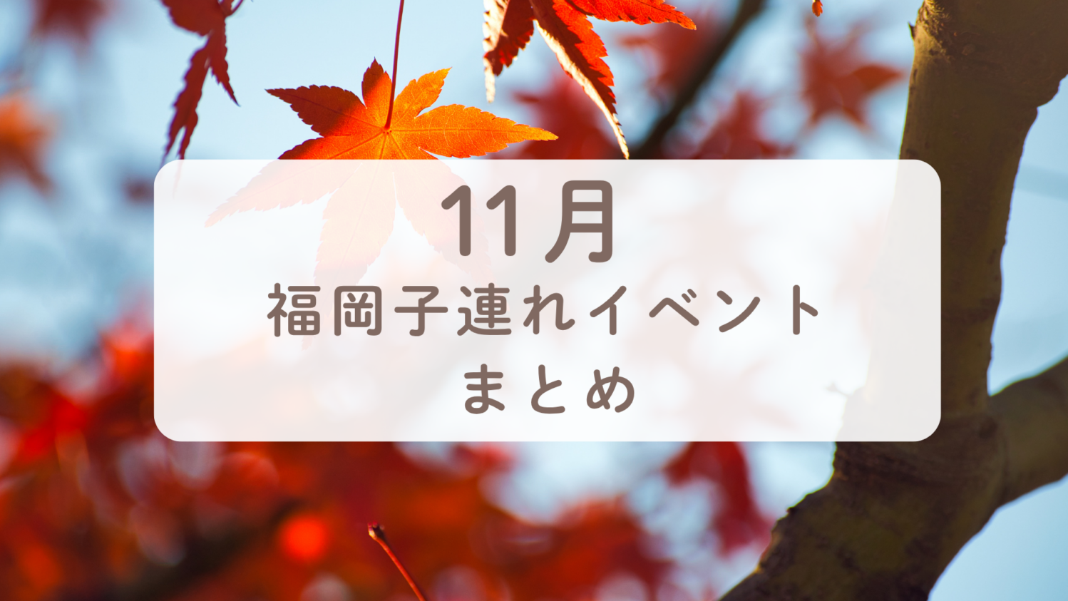 福岡コスモススポット10選